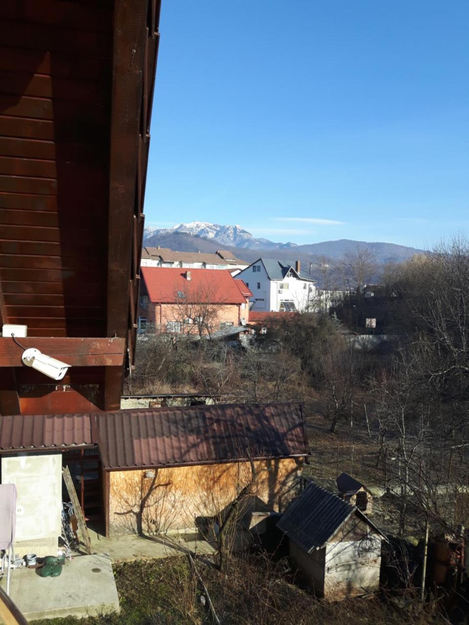 Отель Vila Alexia Кэлимэнешти Экстерьер фото